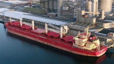 Doris Maritime looks to sell its last four vessels