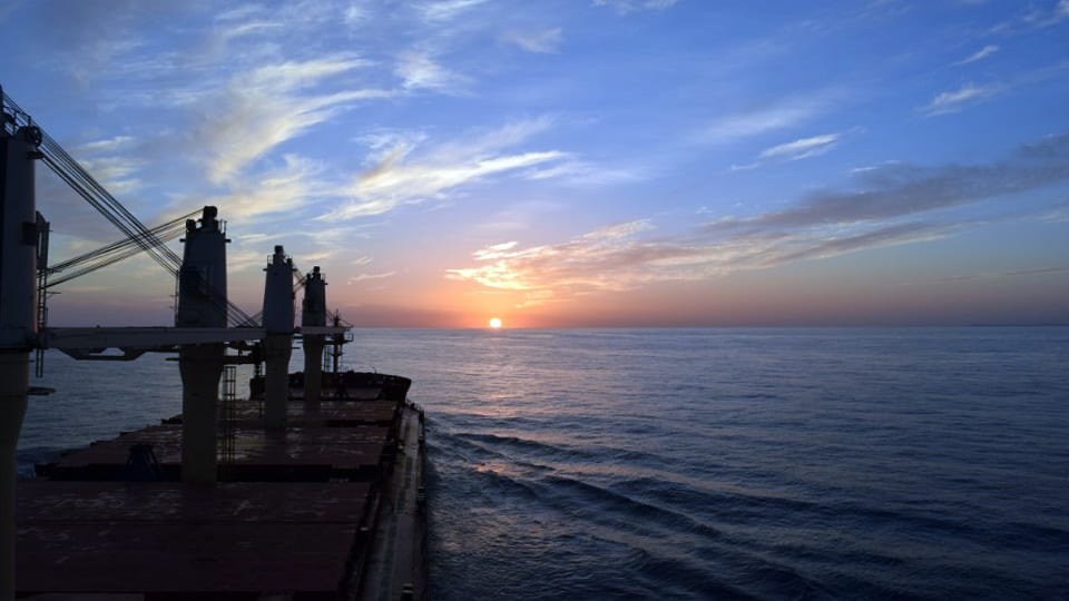 Koch Hires Diana Shipping’s Capesize