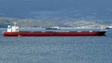 Pavimar acquires Triton Navigation panamax pair