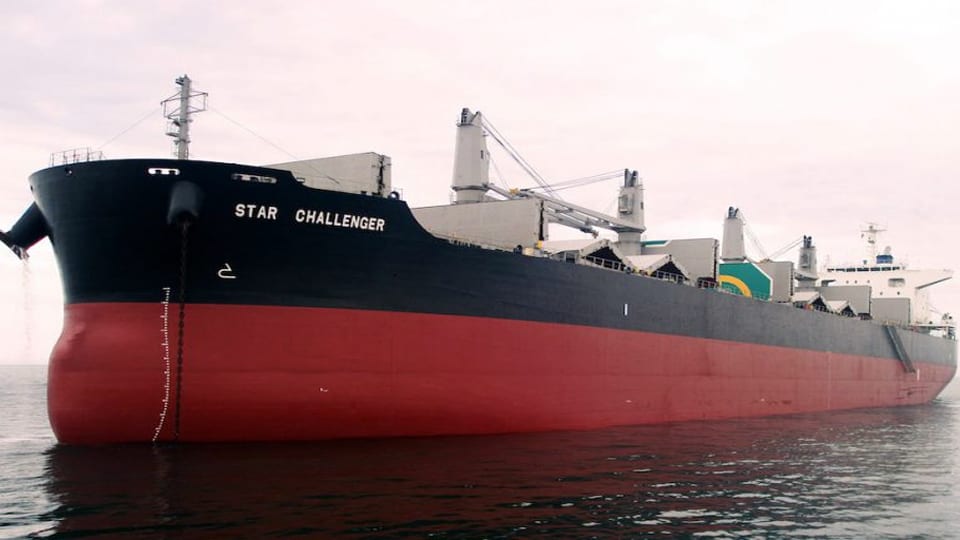 Star Bulk adds 11 vessels with Delphin Shipping acquisition