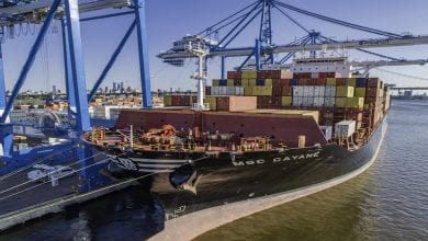 MSC Gayane Released on $50 Million Bail
