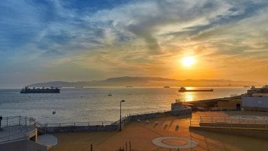 Better Spot Rates Help Odfjell Shrink Loss