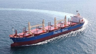 Pacific Basin to Pay USD 74 Mn for Bulker Quartet