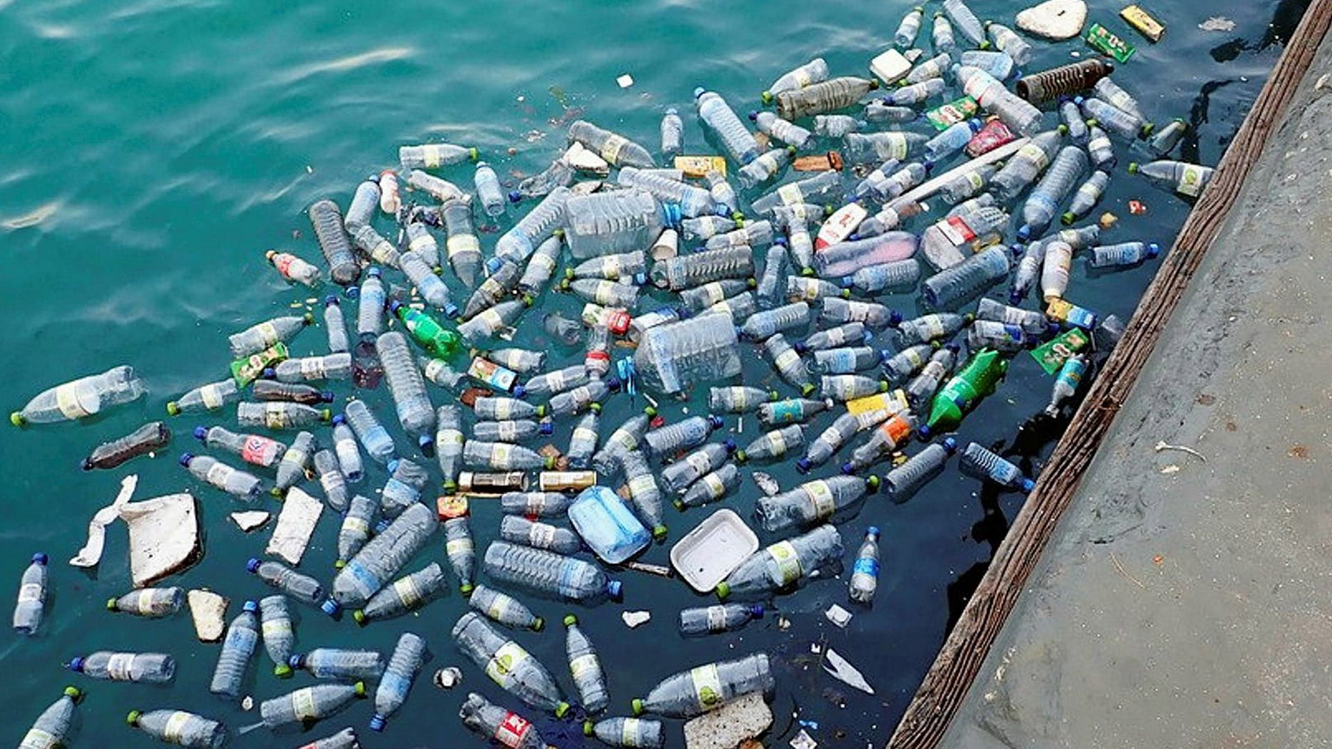 India Bans Single-Use Plastics on Ships in Its Waters