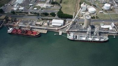 Wharfies Stop Work at Port of Newcastle over New Crane