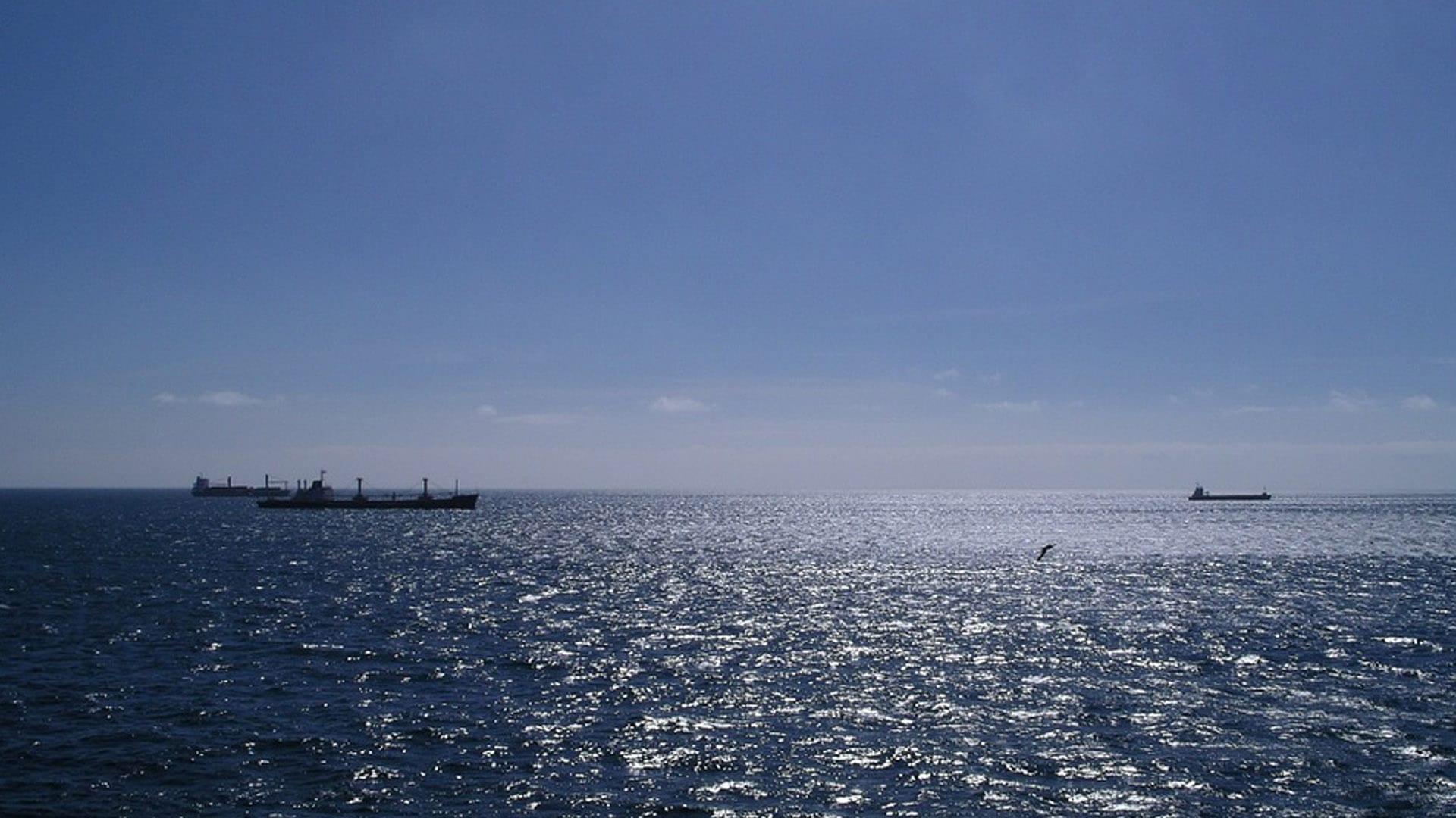 Livestock Carrier Hit by Engine Issue off Portugal