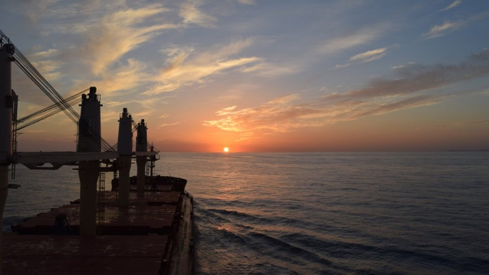 Diana Shipping Offloads 14-Year Old Panamax