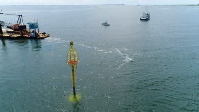 New Buoy to Aid in Tsunami Prediction