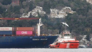 Songa Iridium Hits the Shore in Bosphorus Strait