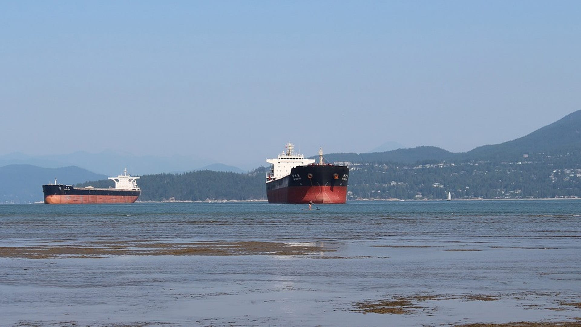 WWF-Canada: Open-Loop Scrubbers Should Be Banned in Canadian Waters